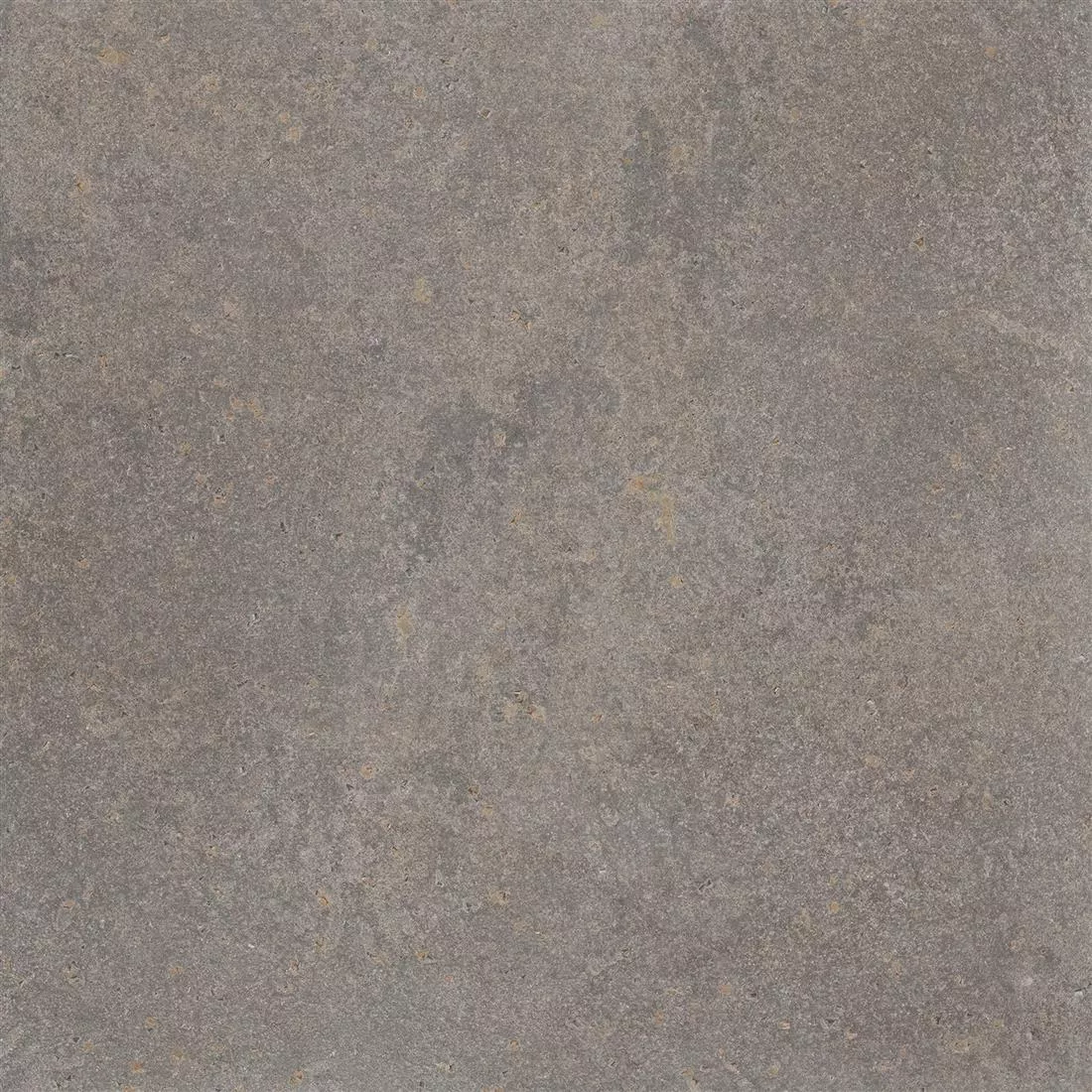 Padrão Ladrilhos Olhar de Pedra Horizon Marrom 60x60cm