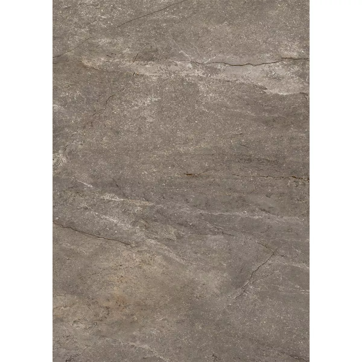 Ladrilhos Pangea Aparência de Mármore Fosco Mokka 60x120cm
