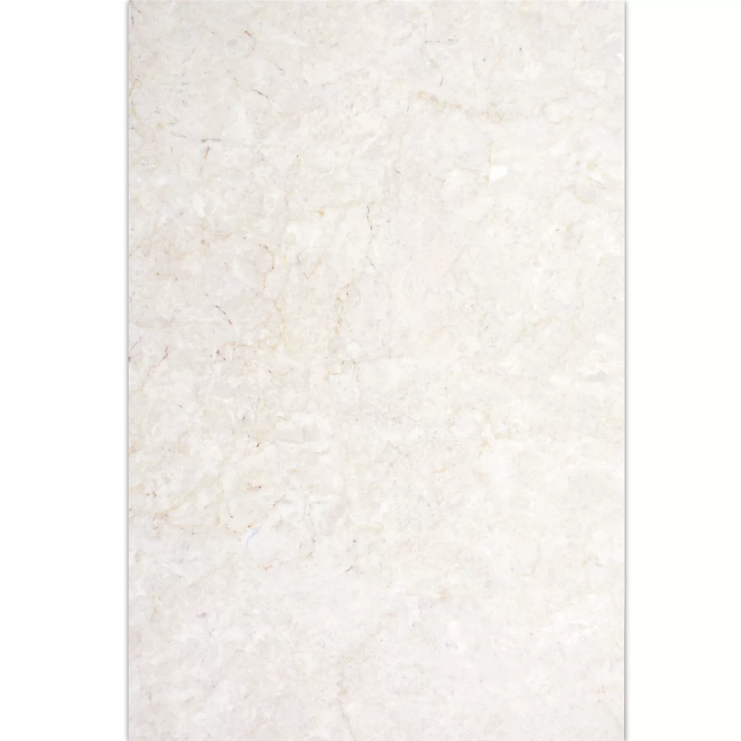 Ladrilhos De Pedra Natural Mármore Afyon Bege 40,6x61cm