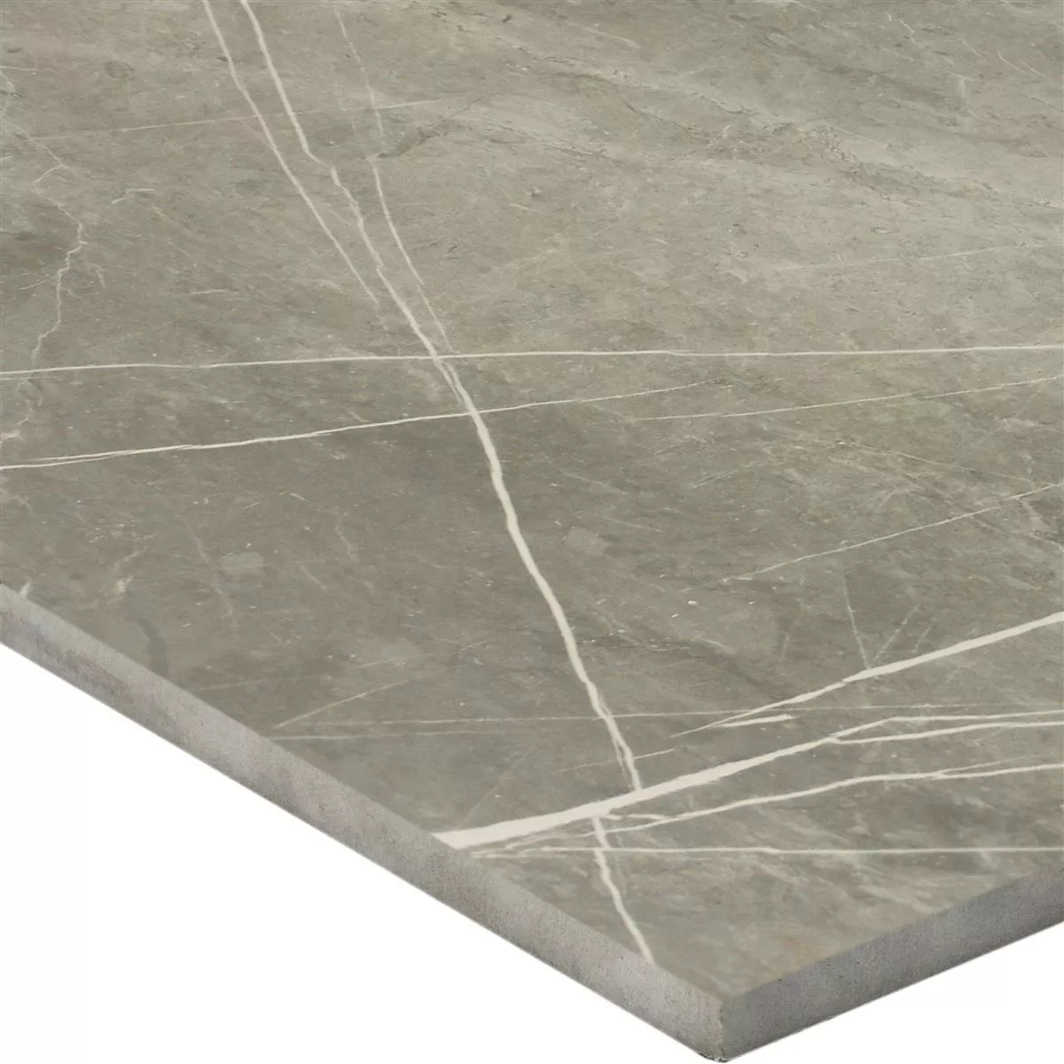 Astara Ladrilhos Astara Aparência De Pedra Natural Polido Grey 30x60cm