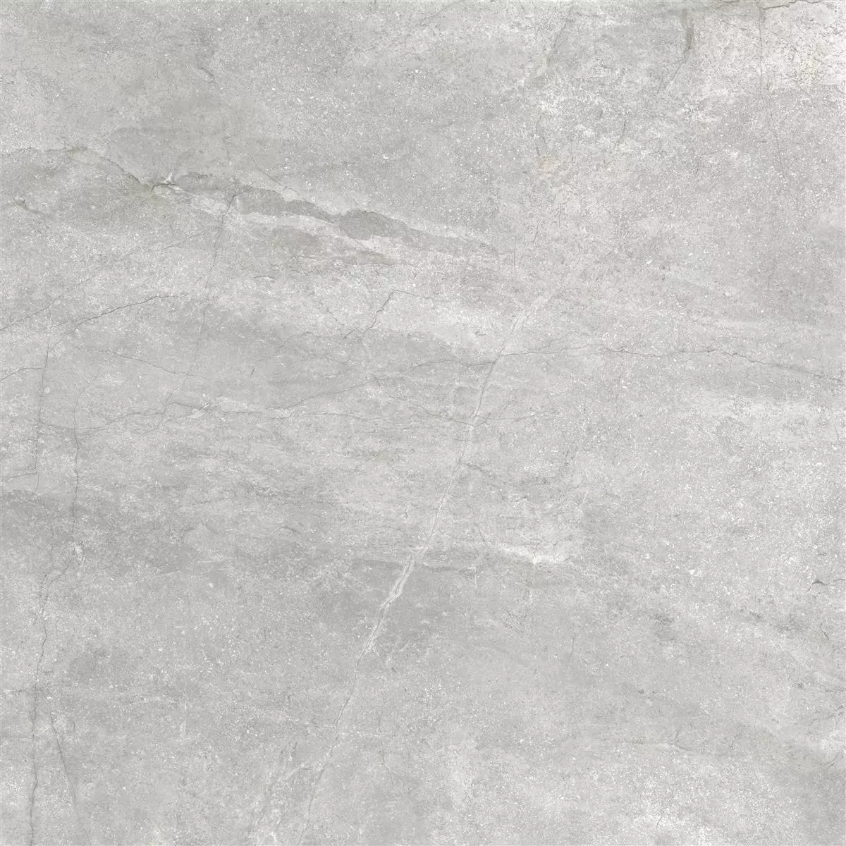 Ladrilhos Pangea Aparência de Mármore Fosco Prata 60x60cm
