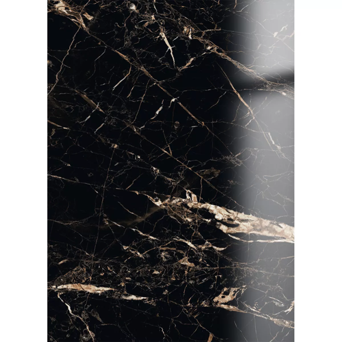Ladrilhos Trento Aparência de Mármore Preto Ouro Polido Brilhante 60x120cm Ladrilhos Trento Aparência de Mármore Preto Ouro Polido Brilhante 60x120cm