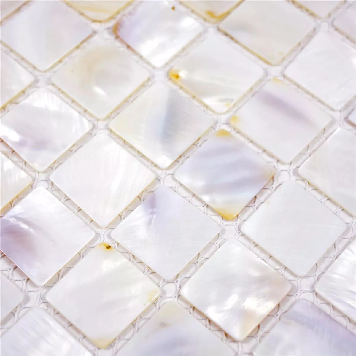 Padrão de Azulejo Mosaico Nácar Xenia Branco