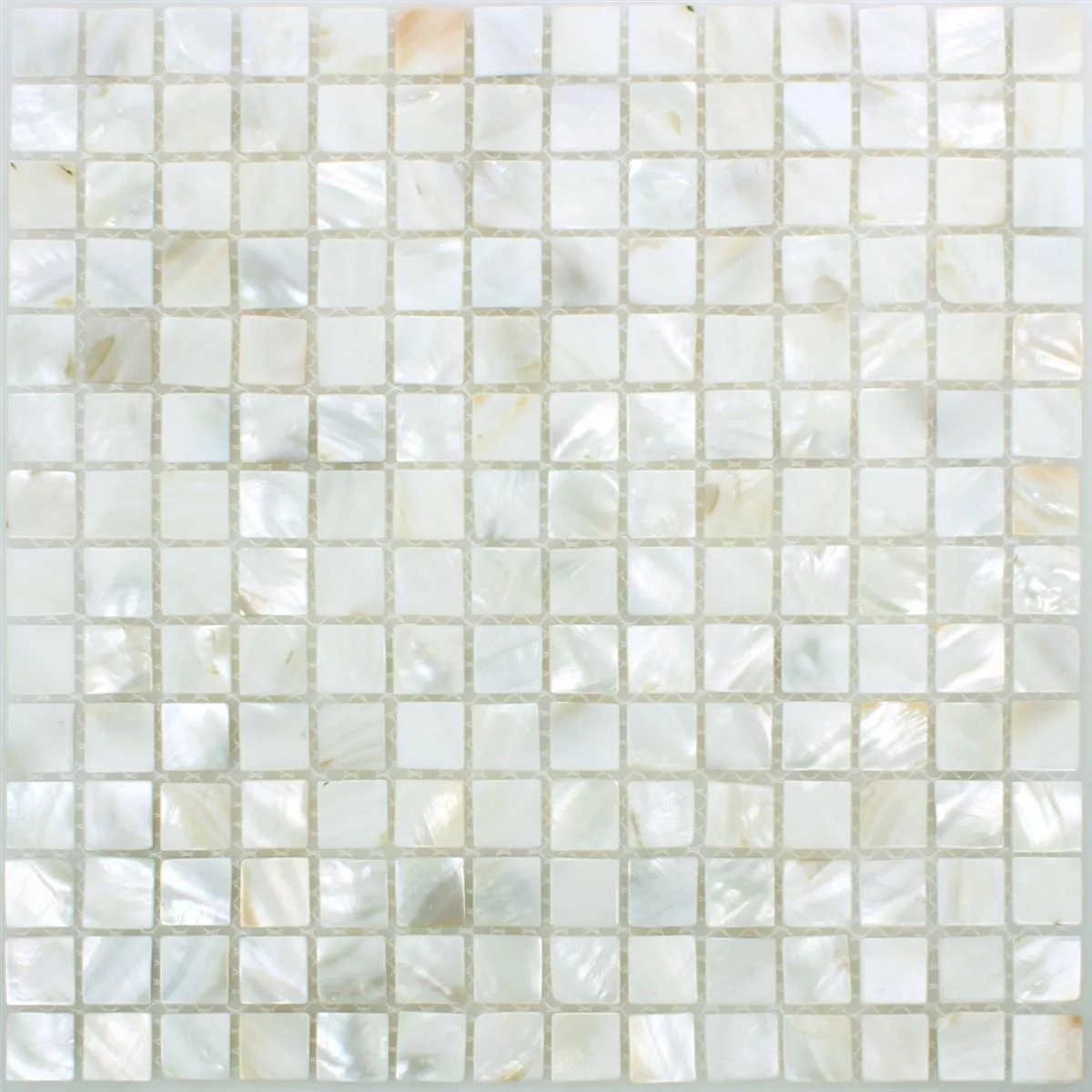 Azulejo Mosaico Concha Kordon Branco
