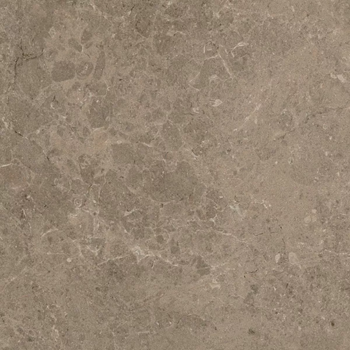Lajes de Terraço Grés Porcelânico Arizona Taupe 60x60x2 cm Lajes de Terraço Grés Porcelânico Arizona Taupe 60x60x2 cm