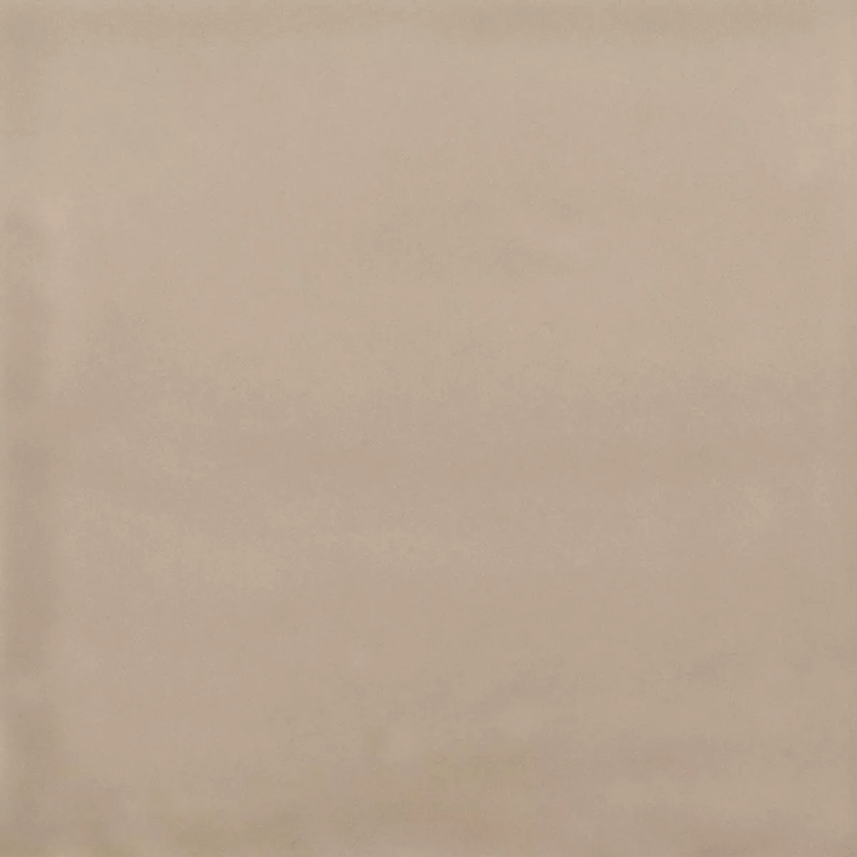 Grés Porcelânico Azulejos Ornamenti Ladrilho De Base Creme Grés Porcelânico Azulejos Ornamenti Ladrilho De Base Creme