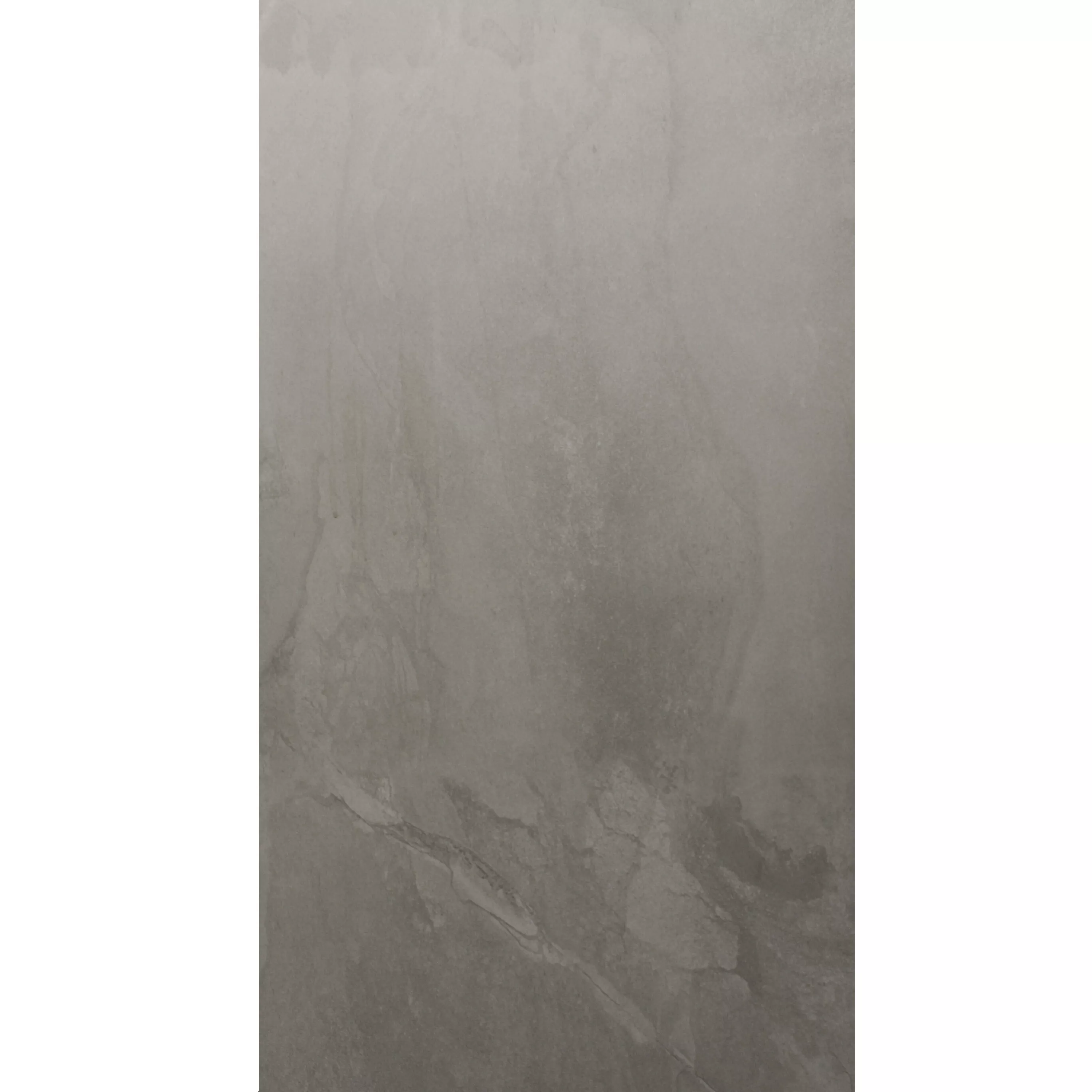 Ladrilho Moneta Fosco Greige 60x120cm