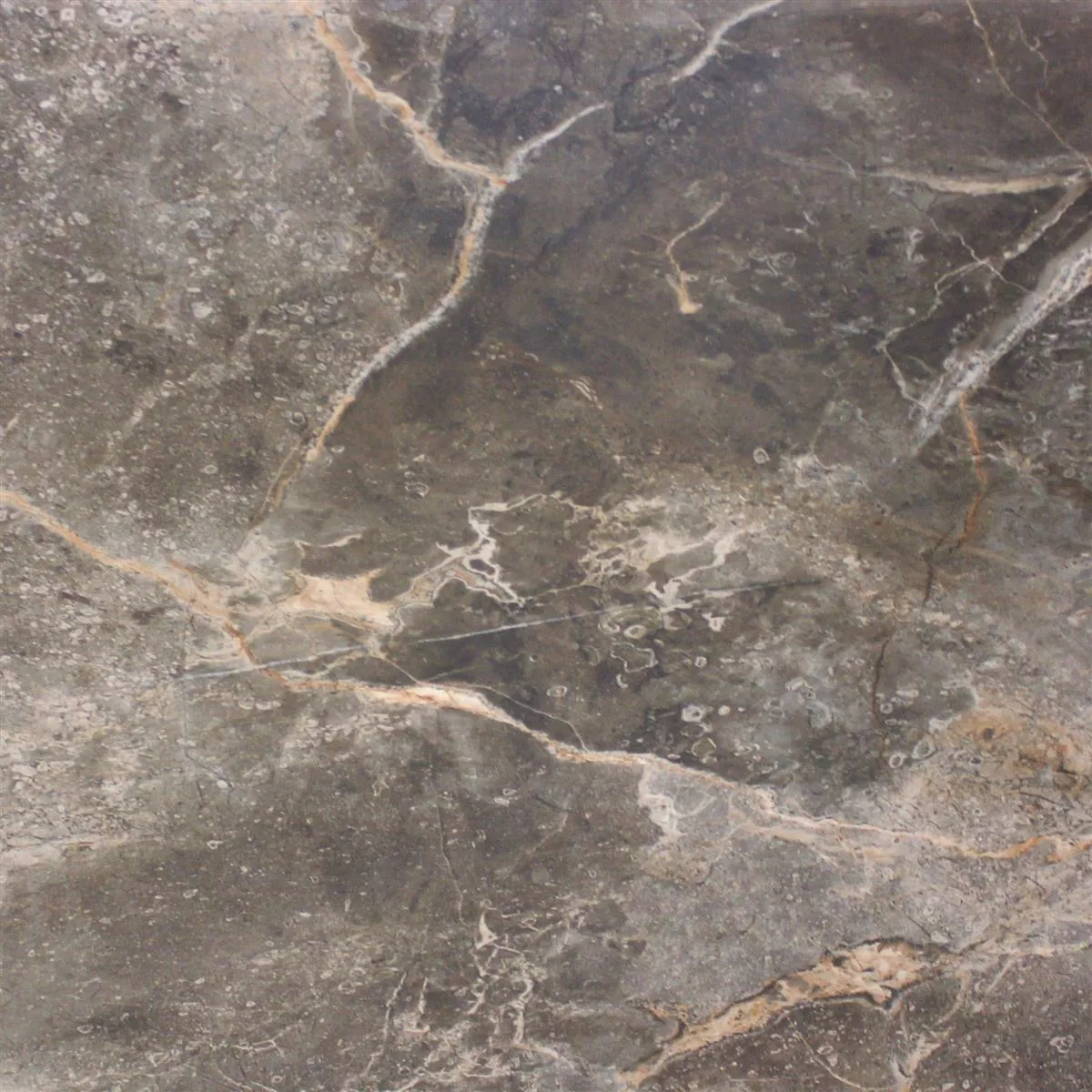 Ladrilhos Aparência de Mármore Himalaya Marrom Polido 60x60cm Ladrilhos Aparência de Mármore Himalaya Marrom Polido 60x60cm