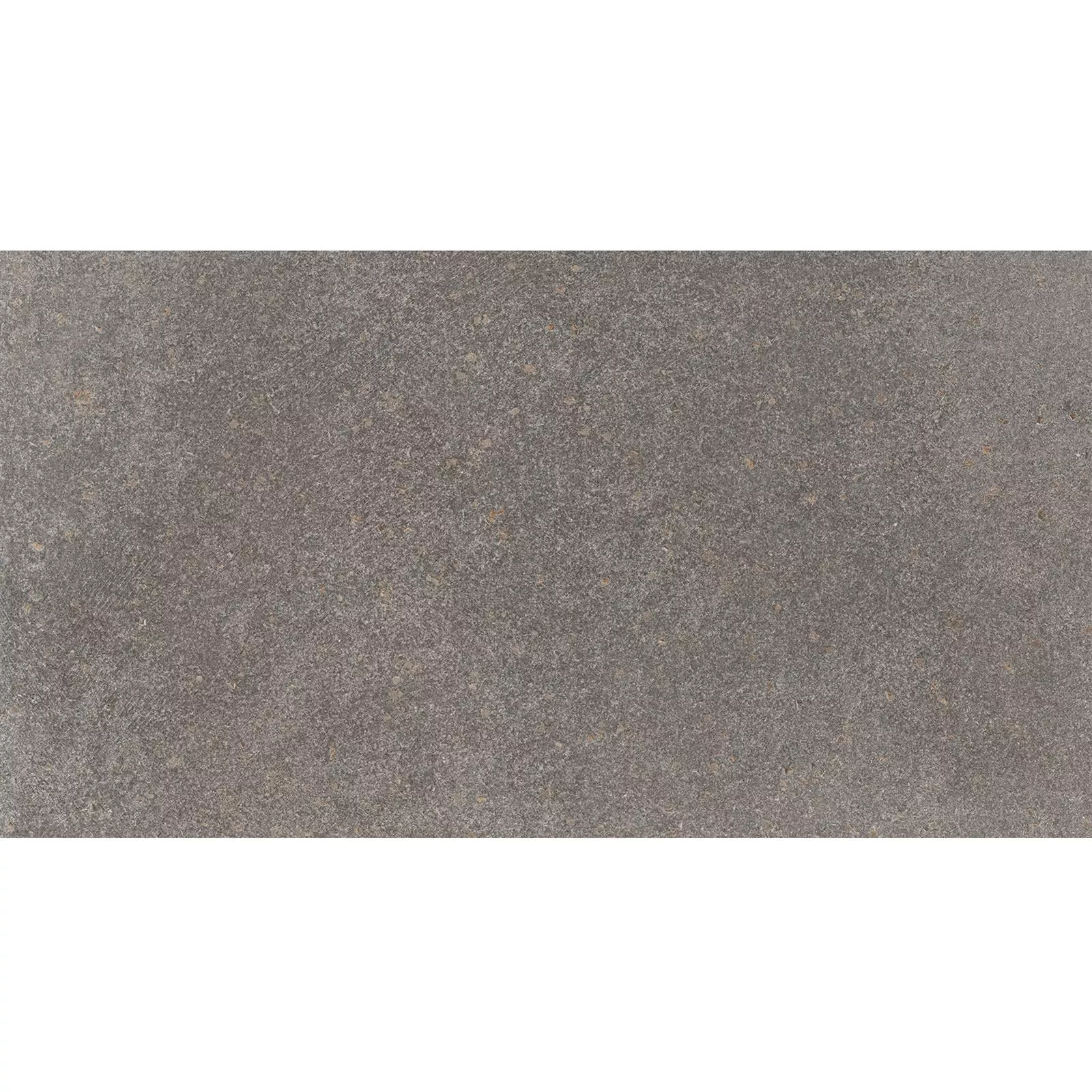 Padrão Ladrilhos Olhar de Pedra Horizon Marrom 30x60cm