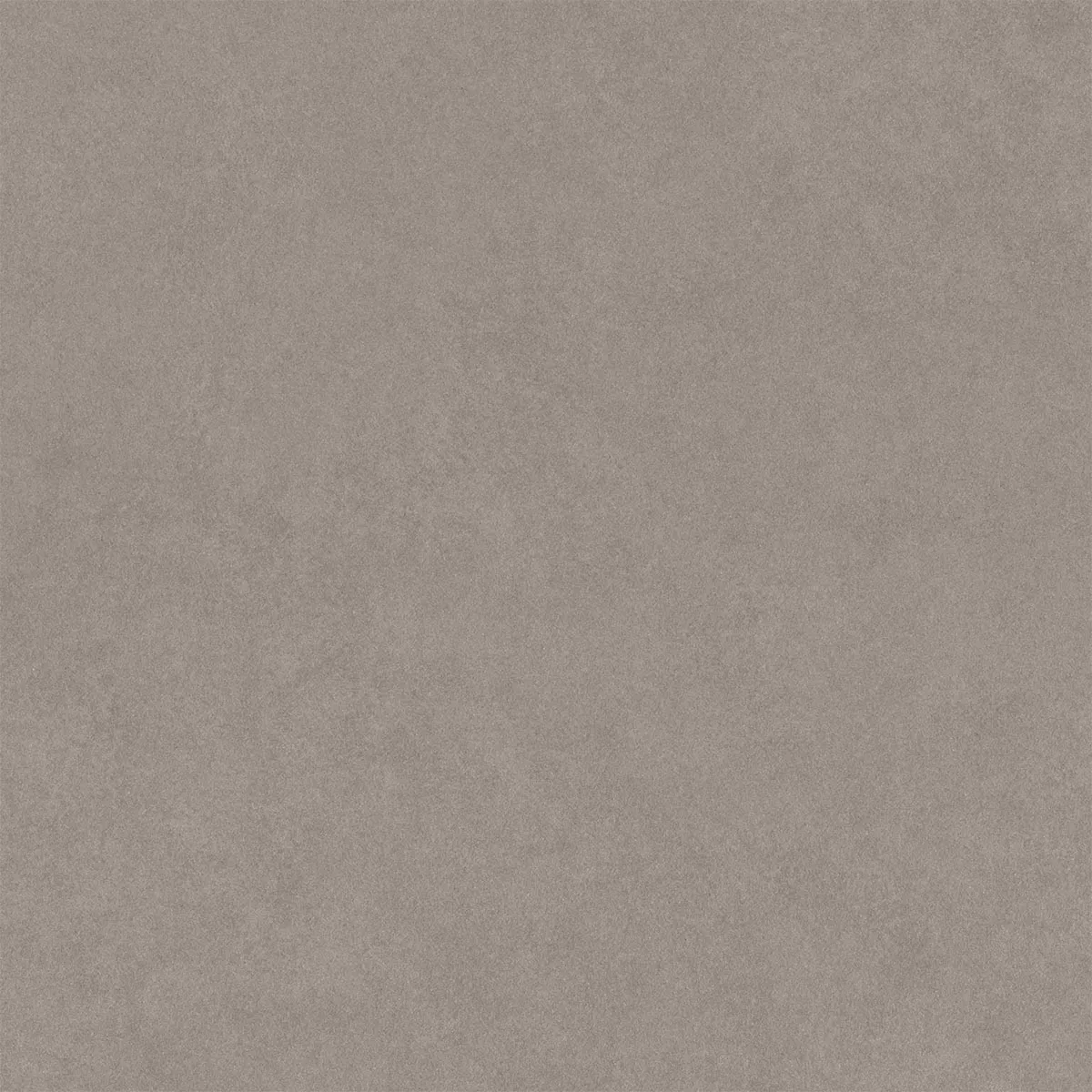Kolossal Cinza Claro 60x60 cm