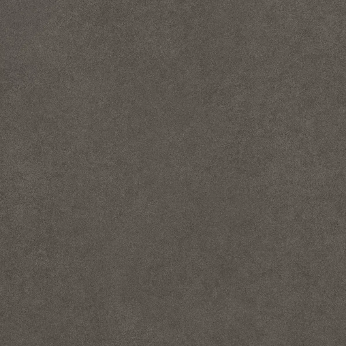 Kolossal Antracite 60x60 cm