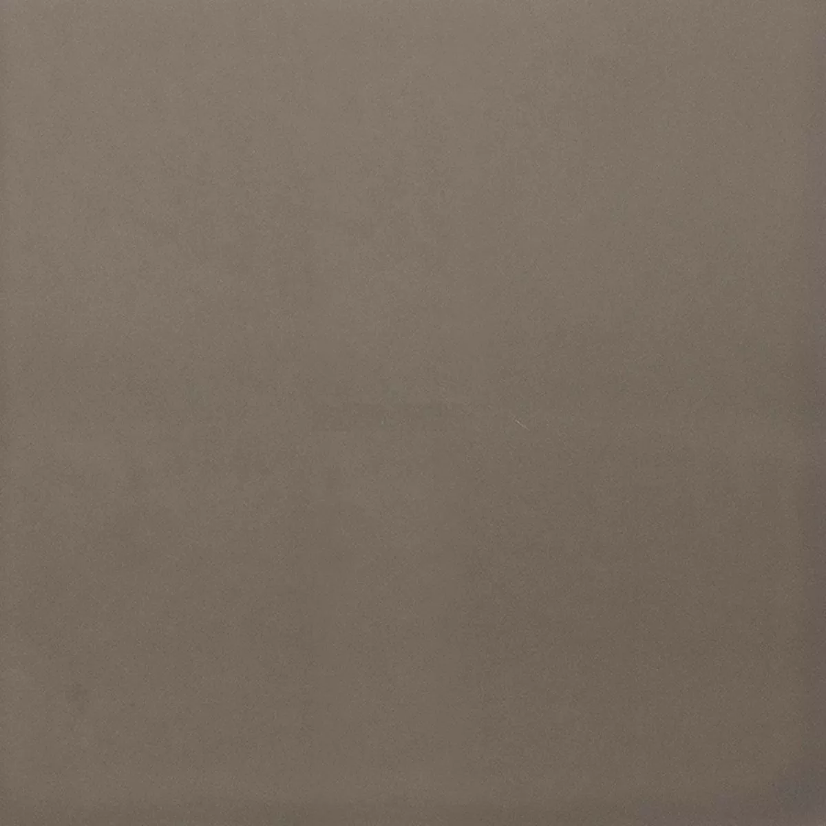 Grés Porcelânico Azulejos Ornamenti Ladrilho De Base Cinza Grés Porcelânico Azulejos Ornamenti Ladrilho De Base Cinza