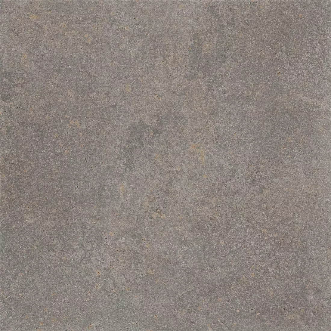 Ladrilhos Olhar de Pedra Horizon Marrom 60x60cm Ladrilhos Olhar de Pedra Horizon Marrom 60x60cm