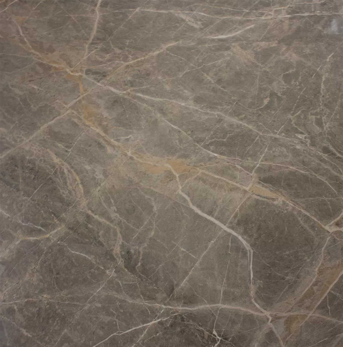 Ladrilho Zeven Cinza Bege Ouro Aparência de Ardósia 60x60cm Ladrilho Zeven Cinza Bege Ouro Aparência de Ardósia 60x60cm