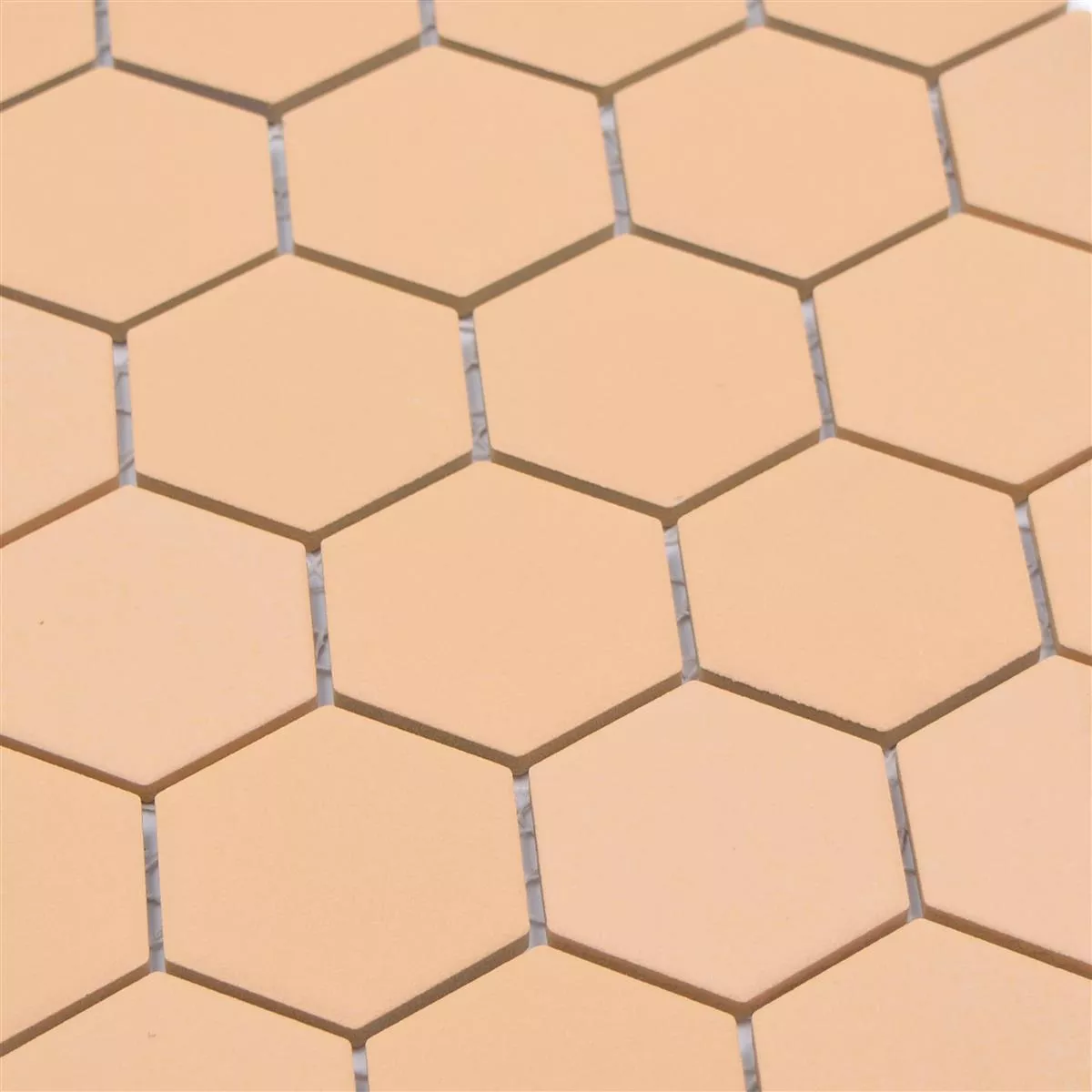 Mosaico Cerâmico Bismarck R10B Hexágono Ocre Laranja H51