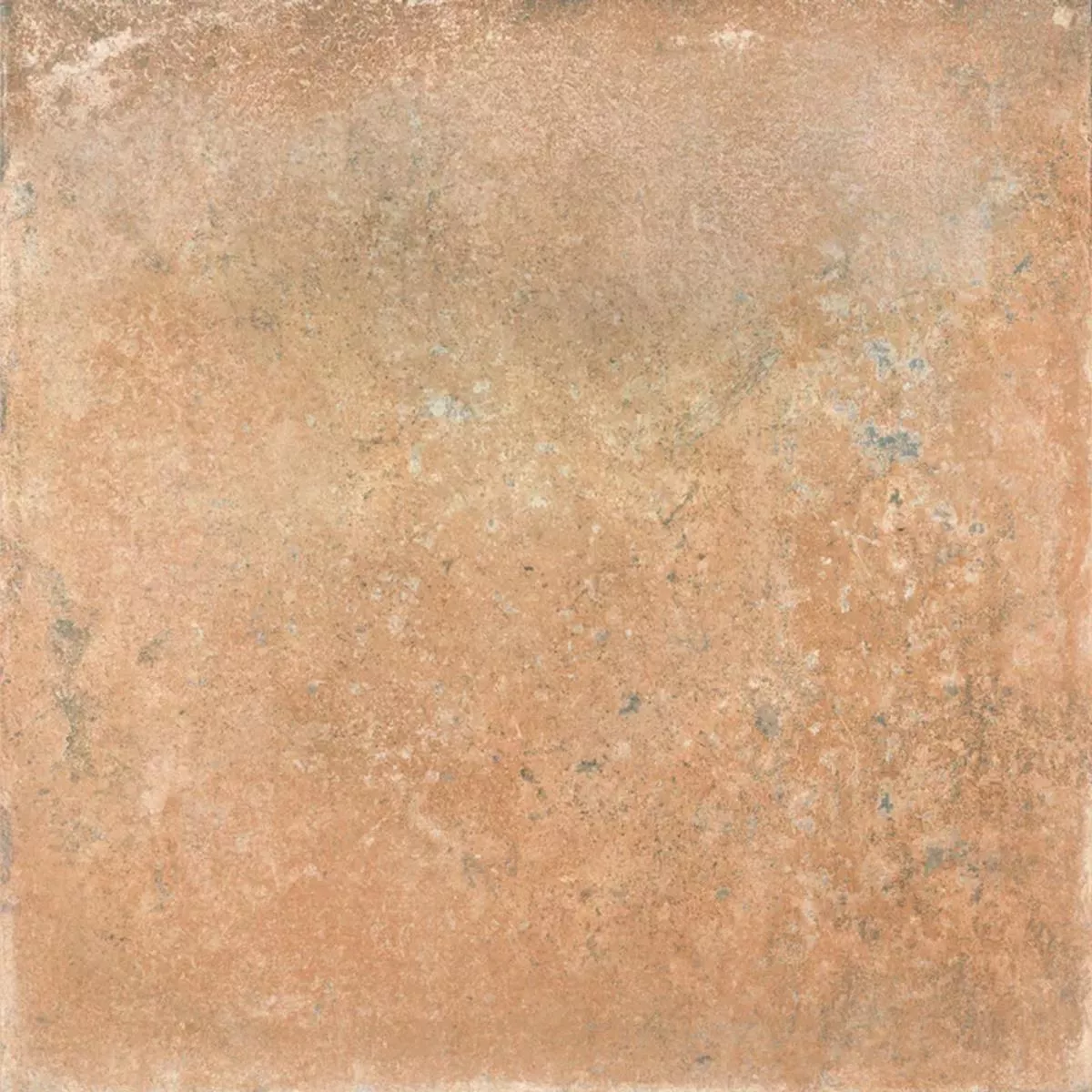 Queens Terracota Marrom 25x25 cm