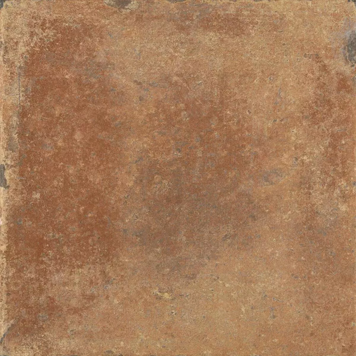 Queens Terracota Marrom Escuro 25x25 cm